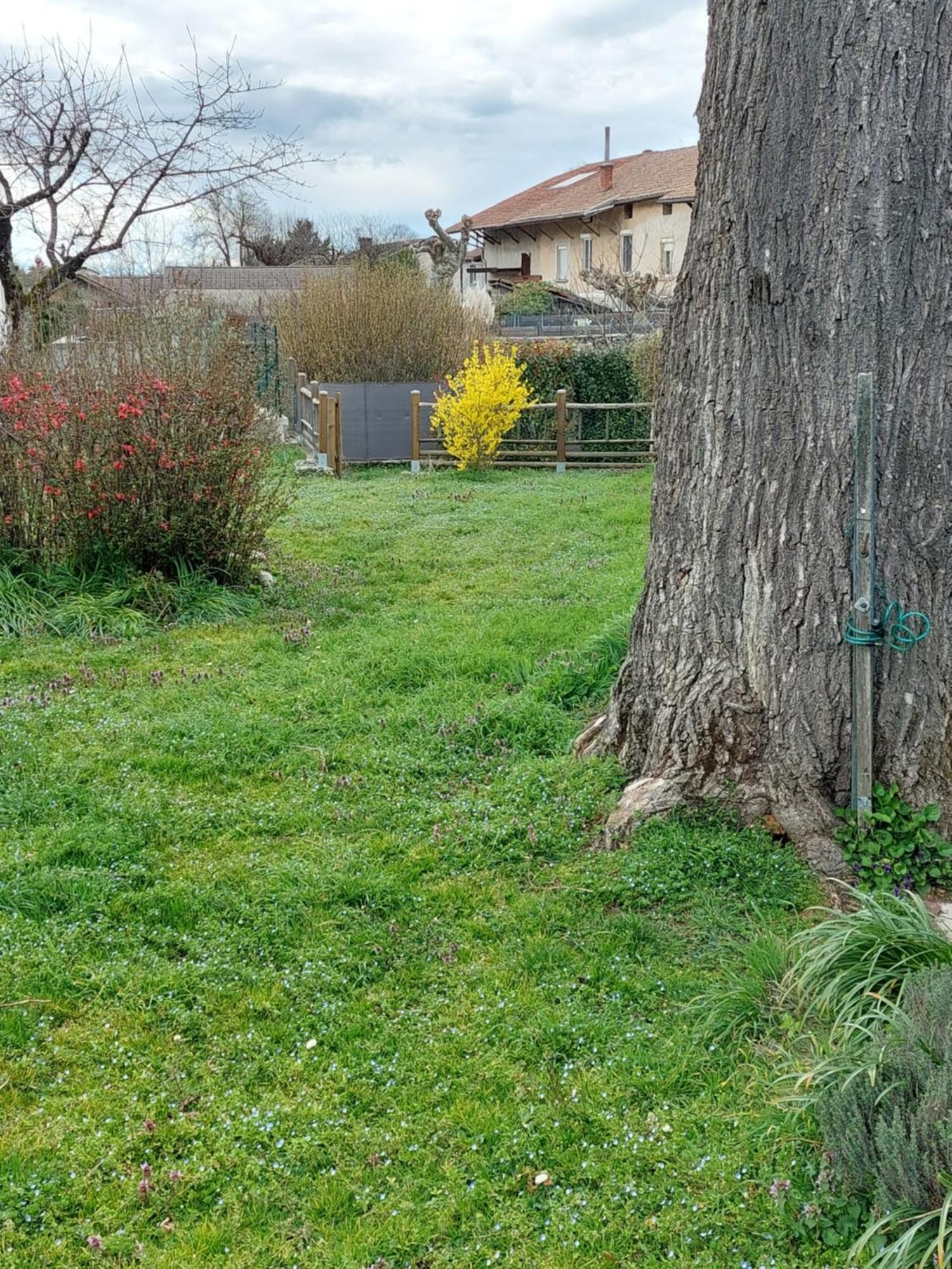 Les Copains D'Abord Beaucroissant Exterior foto