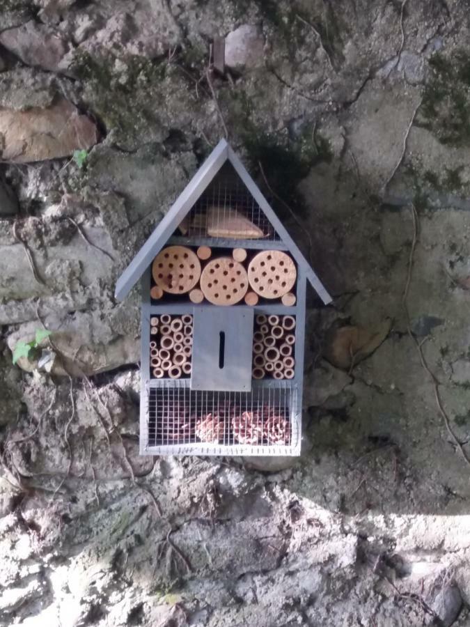 Les Copains D'Abord Beaucroissant Exterior foto